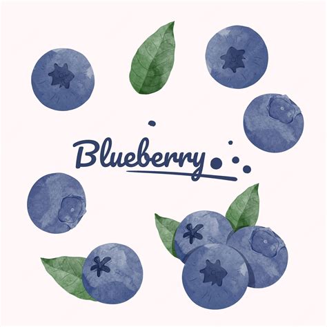 Blueberry Design Inspiration