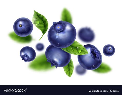 Blueberry Web Design Example