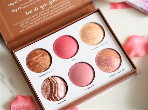 Blush Bronzer Palette Makeup