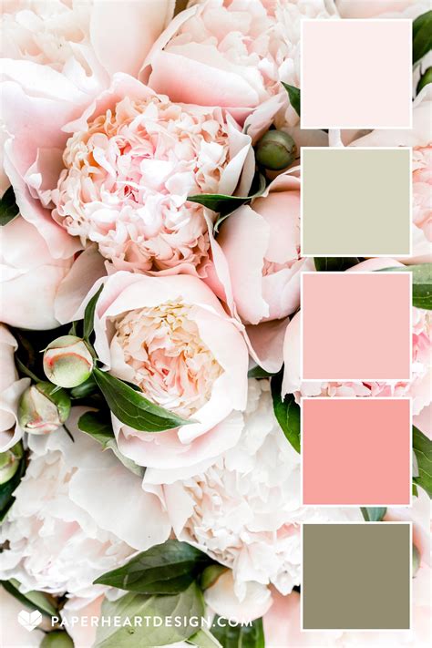 Blush Pink Color Combinations