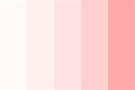 Blush Pink Color Palette