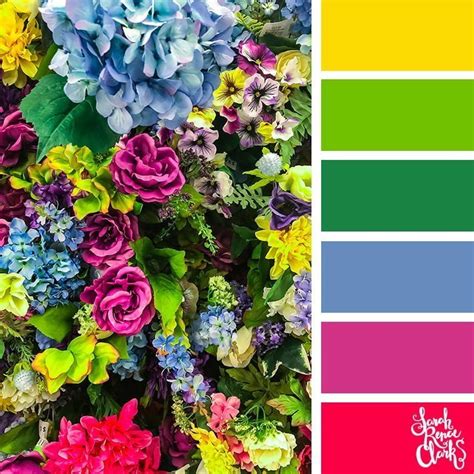 Bold Floral Colour Palette Example