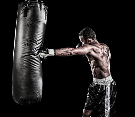 Boxing Training with Punching Bag Stand Up