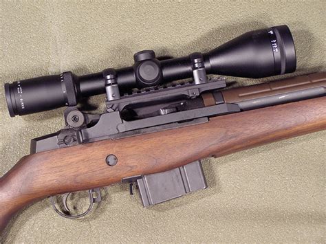 Boyds M1A Walnut Stock