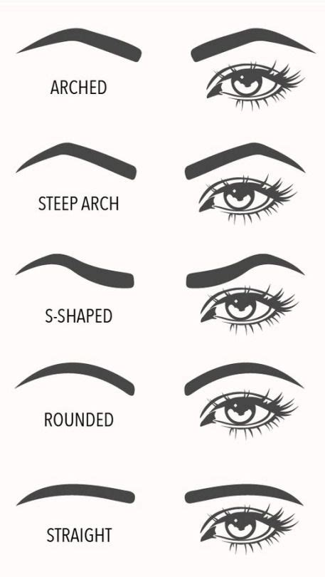 Soft and Arched Brow Style