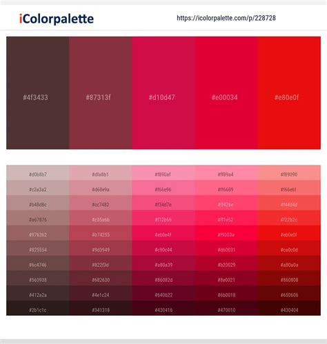 Brown and Red Color Palette Combinations