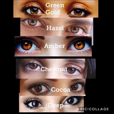 Brown Eye Colors