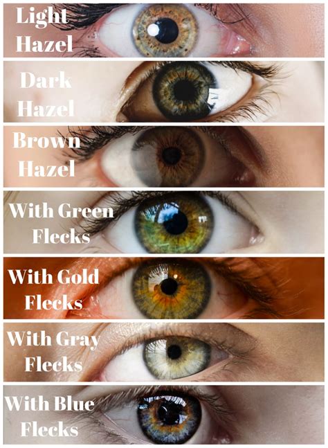 Brown eyes with makeup