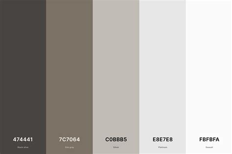 Brown Gray Color Palettes Gallery 6