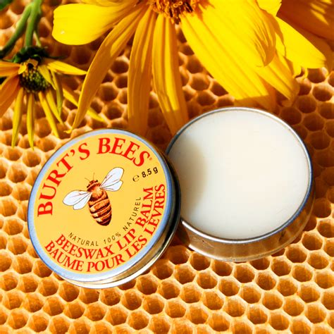 Burt's Bees lip balm