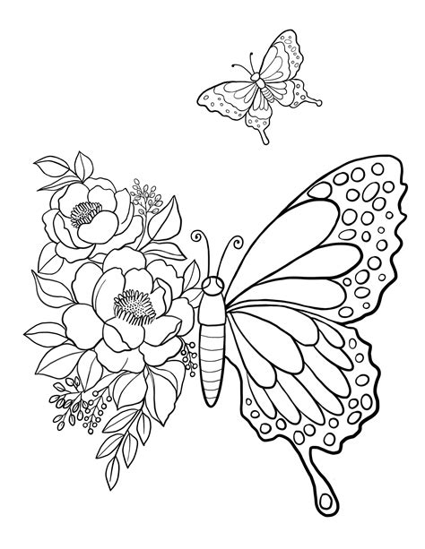 Butterflies Coloring Pages