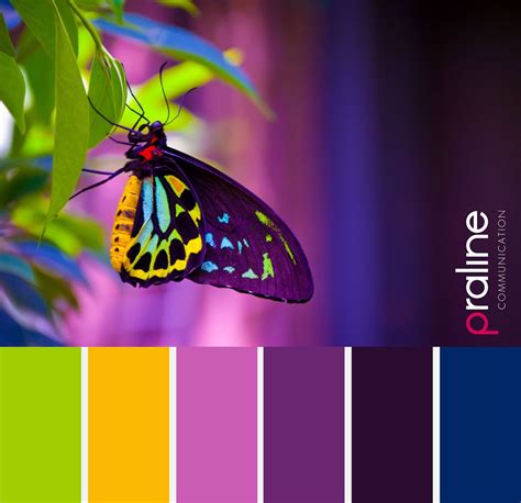 Butterfly Color Palette Inspiration for Artists