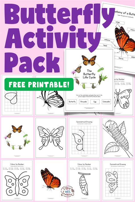 Butterfly printables for educational purposes