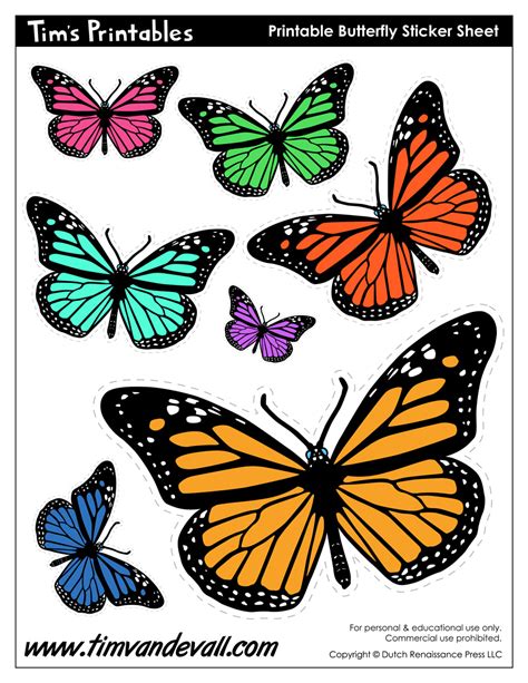 Butterfly printables for decoration and education