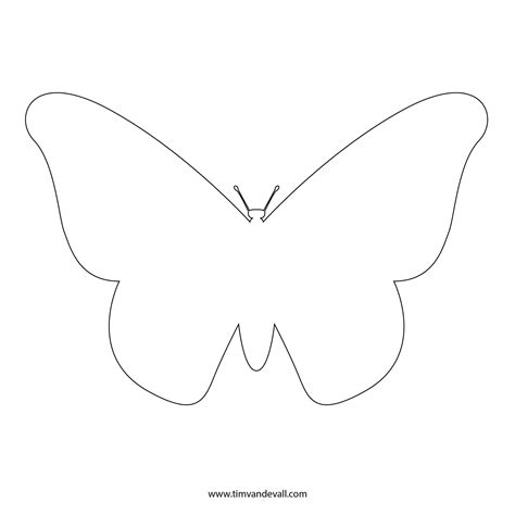 Butterfly template with geometric pattern