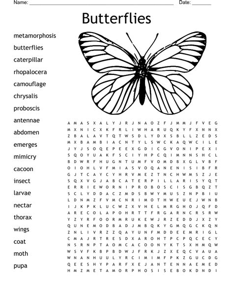 Description of Butterfly Word Search