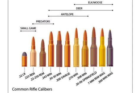 Caliber conversion