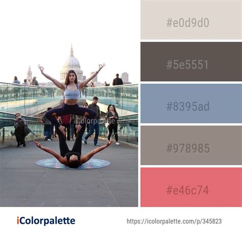 Calming Gym Color Palettes