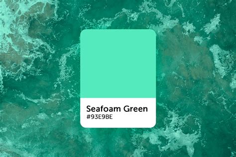 Calming Seafoam Color Palette