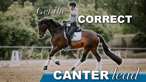 Horse cantering