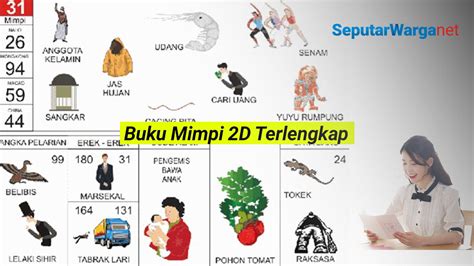 Cara Menginterpretasikan Mimpi 2D