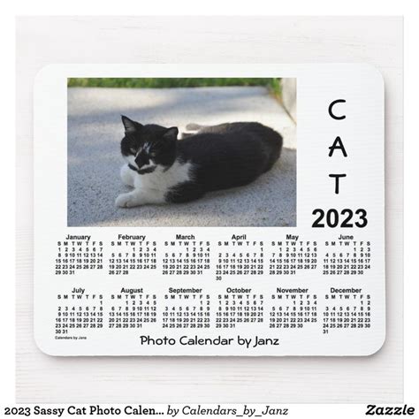 Cat Photography Calendars