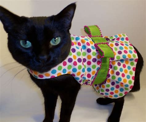 Cat with polka dots