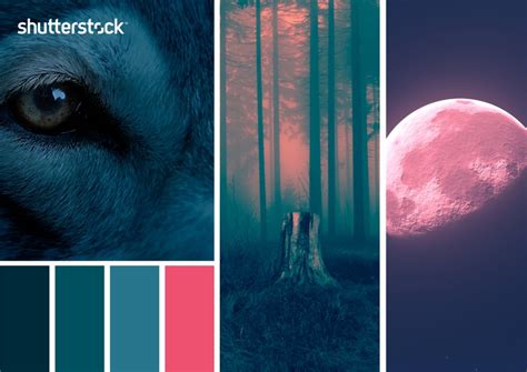 Celestial Color Palette Inspiration