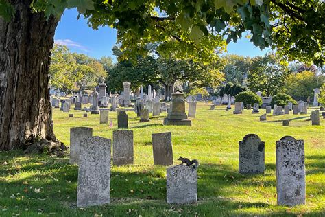 A serene cemetery landscape