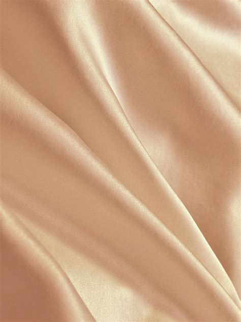 Champagne and Beige Color Palette