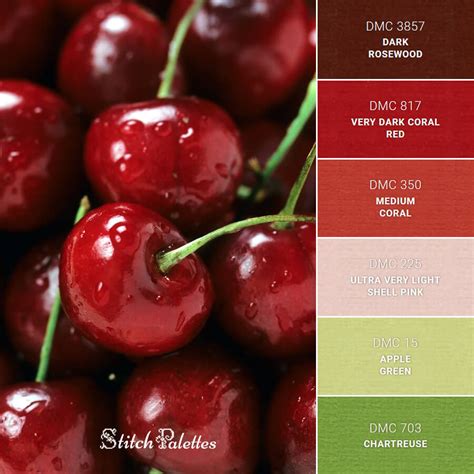 Cherry Color Palette Fashion Design