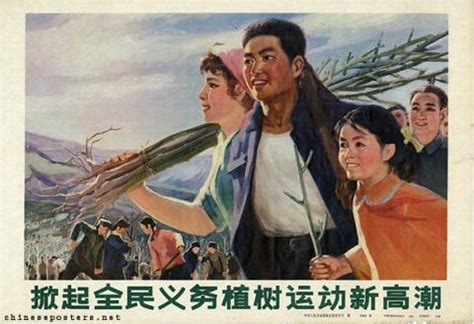 China forestry propaganda