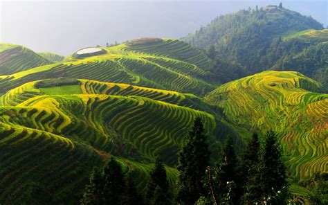 A rural landscape in China