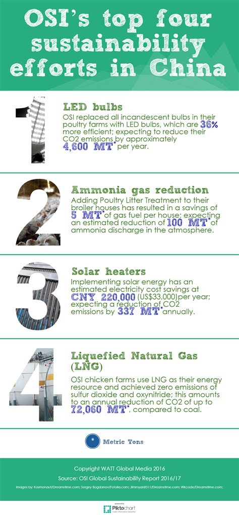 China sustainability