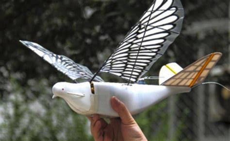 Chinese Bird Drone Camera