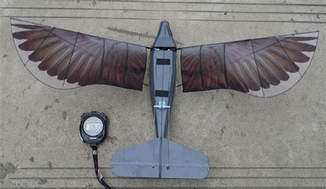 Chinese Bird Drone Design