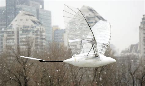 Chinese Bird Drone Propulsion