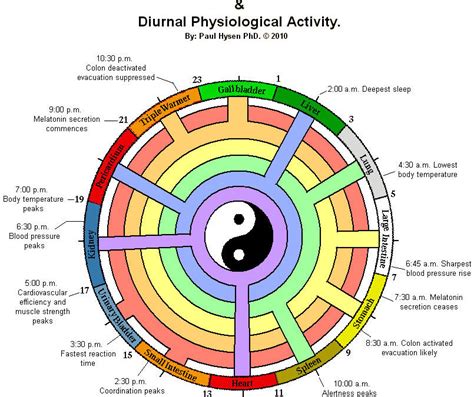 Chinese Calendar Traditional Medicine