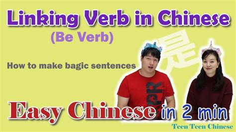 Chinese Linking Verbs