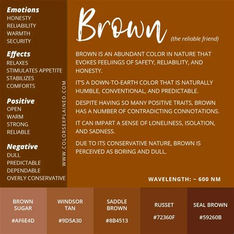 The Psychology of Chocolate Colors