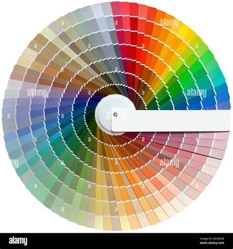 Circular Color Palette 2