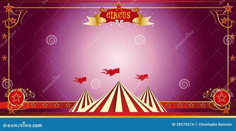 Circus Purple