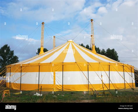 Circus Yellow