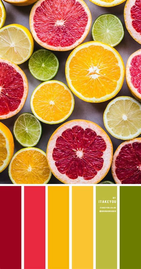 Citrus Color Palette Art