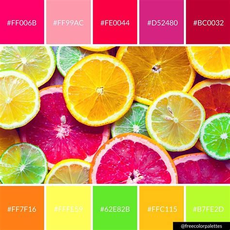 Citrus Color Palette Art