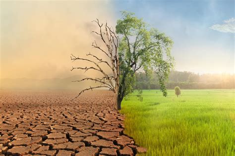 Climate change and sustainability