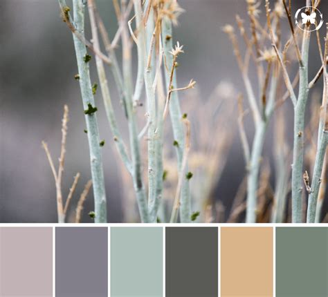 Nature-Inspired Color Scheme Example