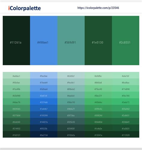 Color combinations and variations