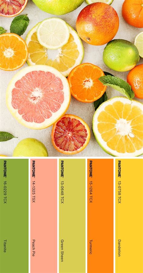 Benefits of Color Palette 12