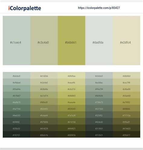 Color Palette Materials